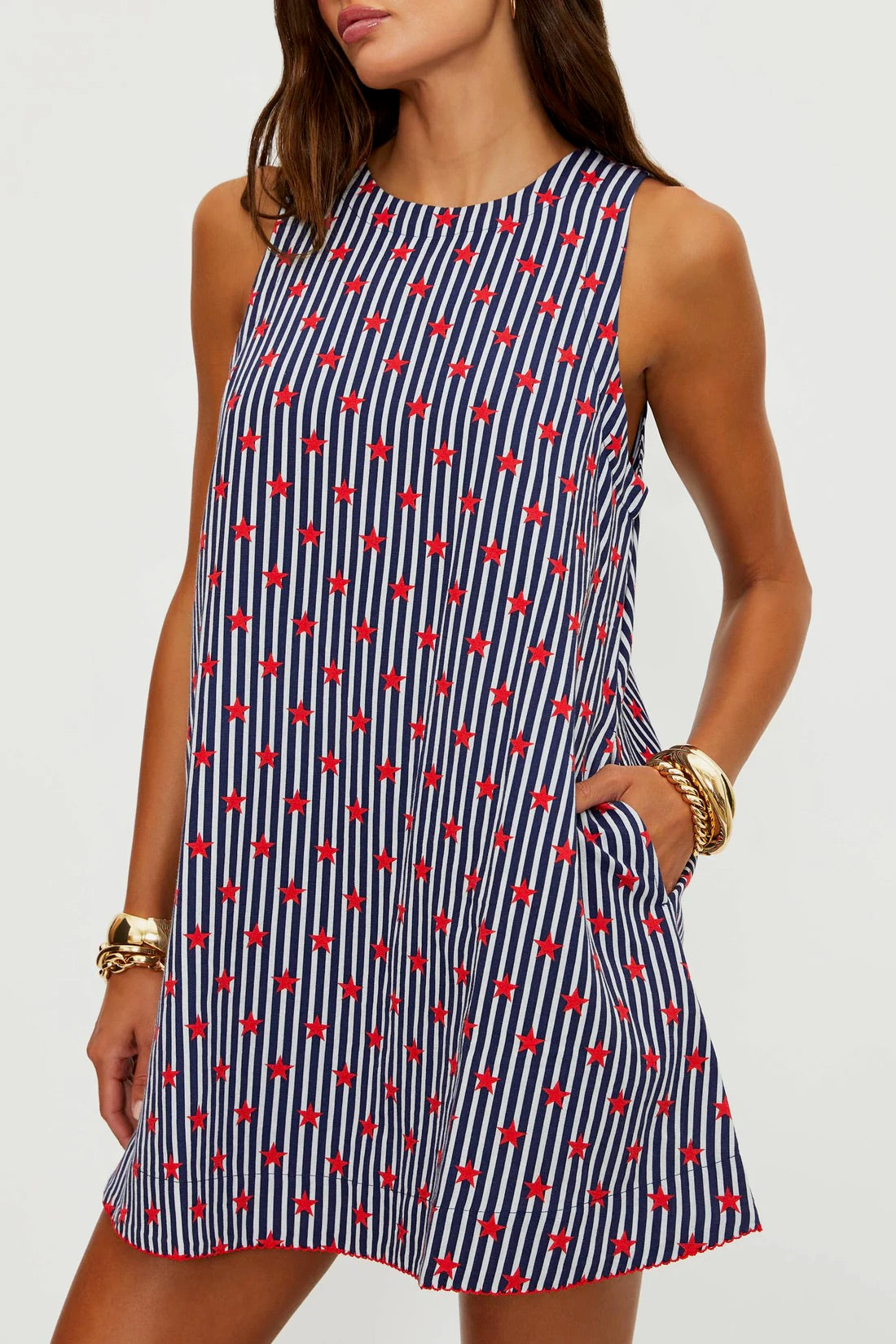 caprani mini dress Beach Riot: Caprina Mini Dress (BR63863S6-SSSE) L