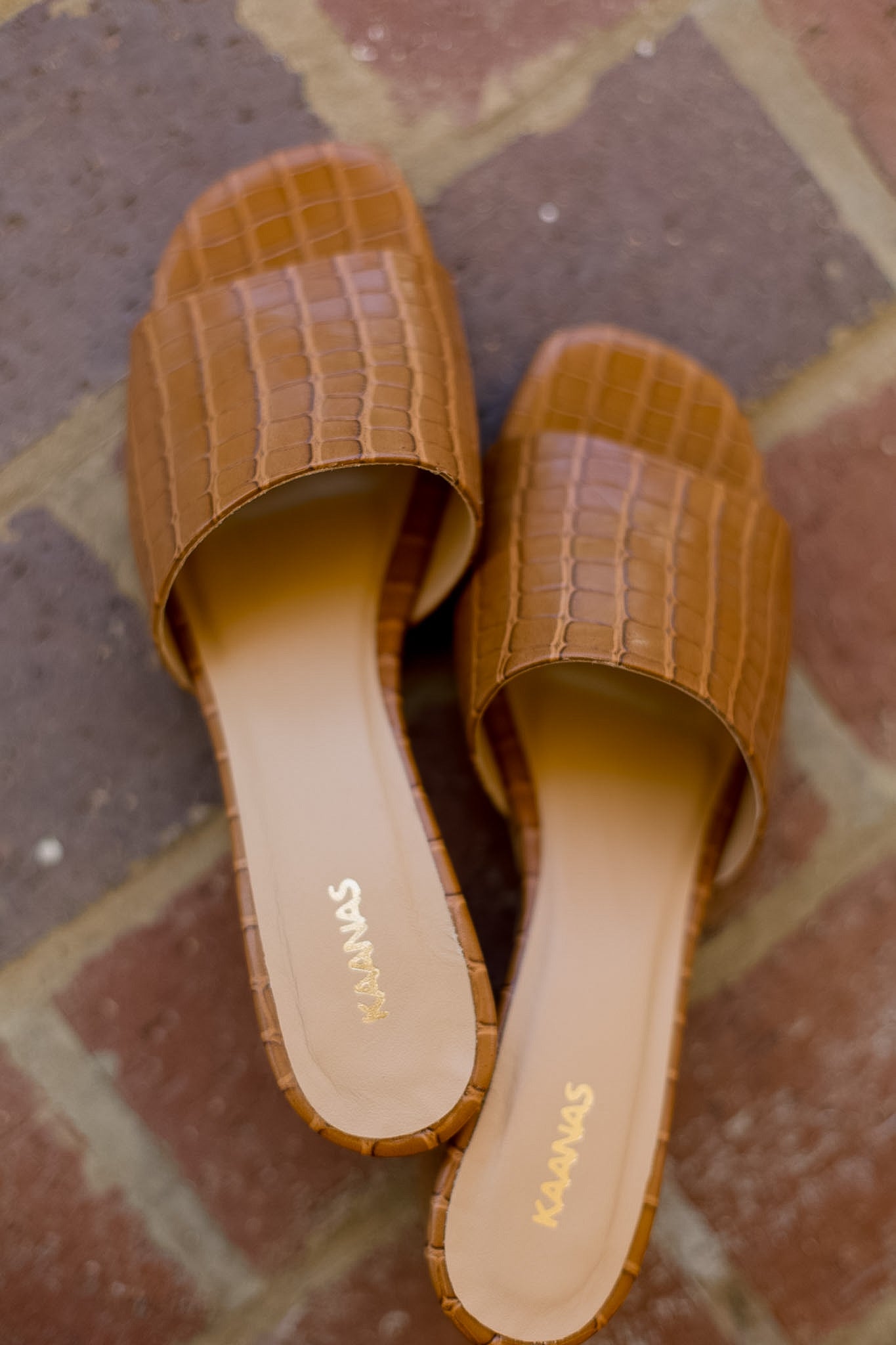 Bucharest Croc Heel - Coffee