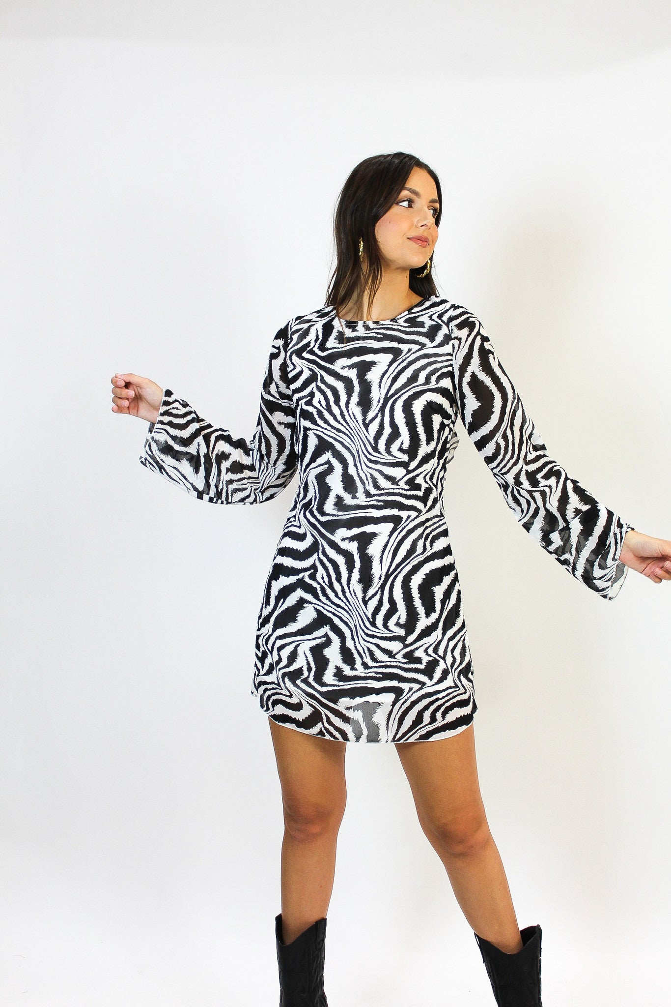 Runaway Zebra Dress