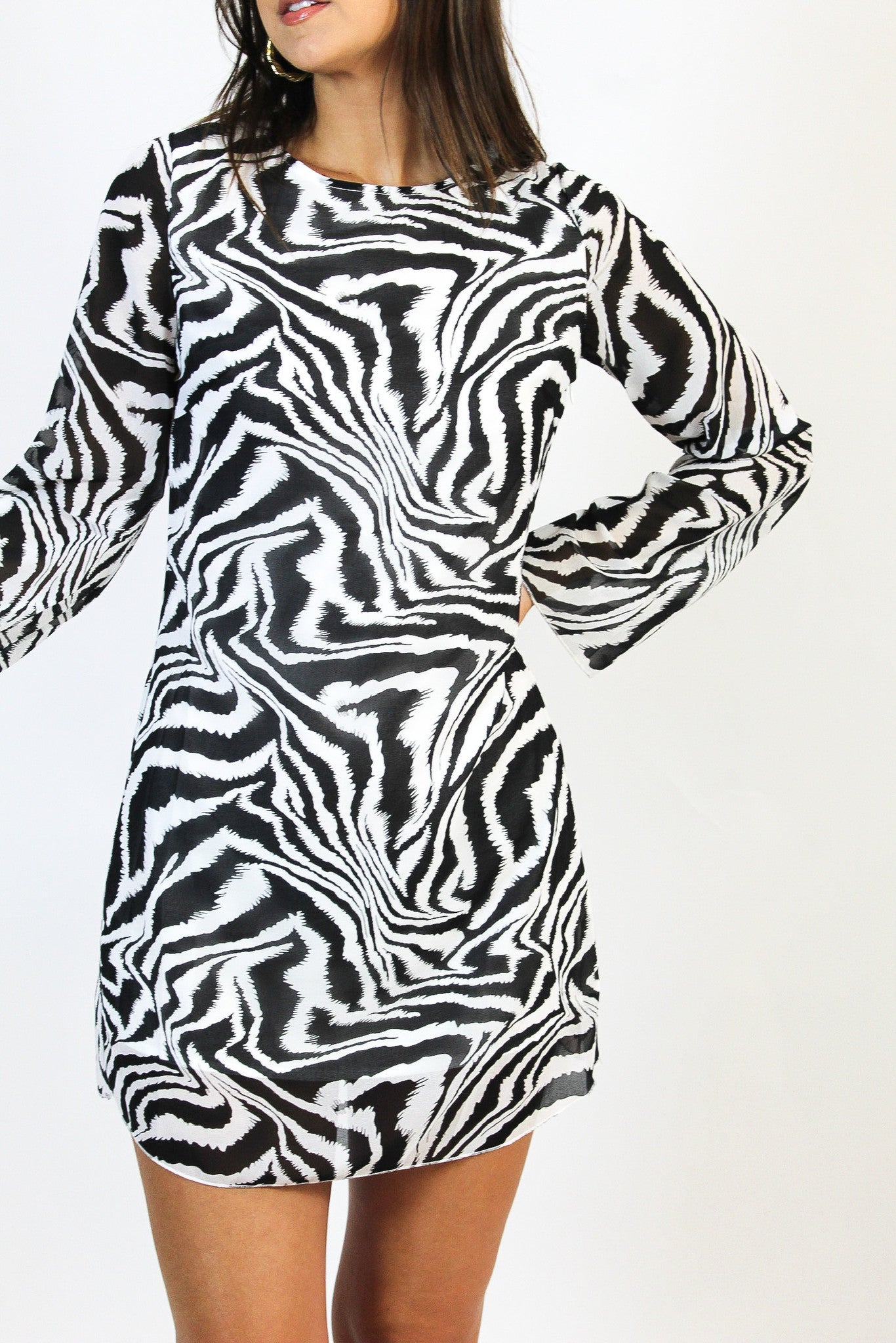 Runaway Zebra Dress